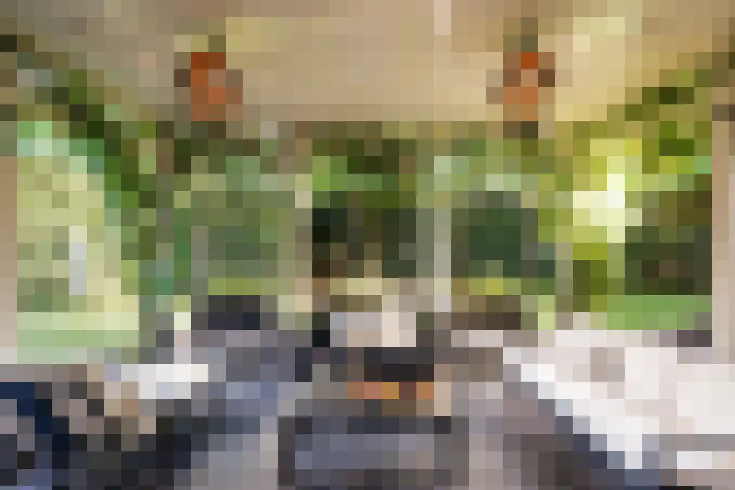 Graaf Gerolfpad 4 Den Haag thumbnail 36