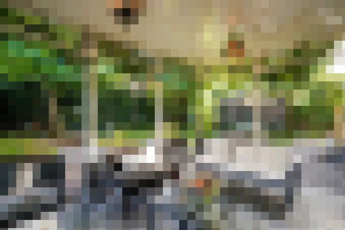 Graaf Gerolfpad 4 Den Haag thumbnail 37