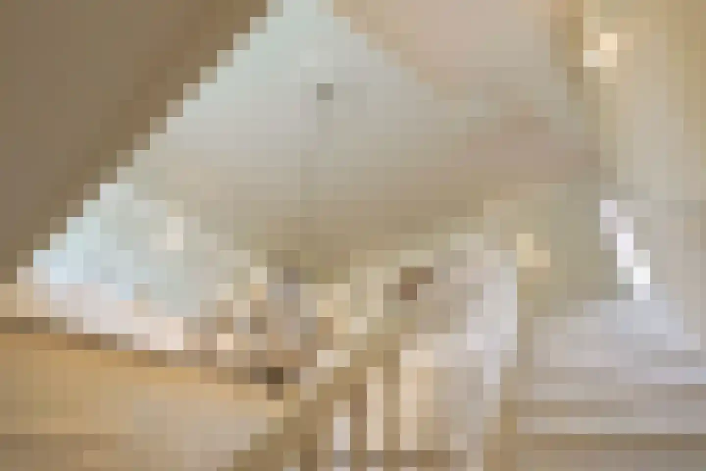 Graaf Gerolfpad 4 Den Haag thumbnail 38