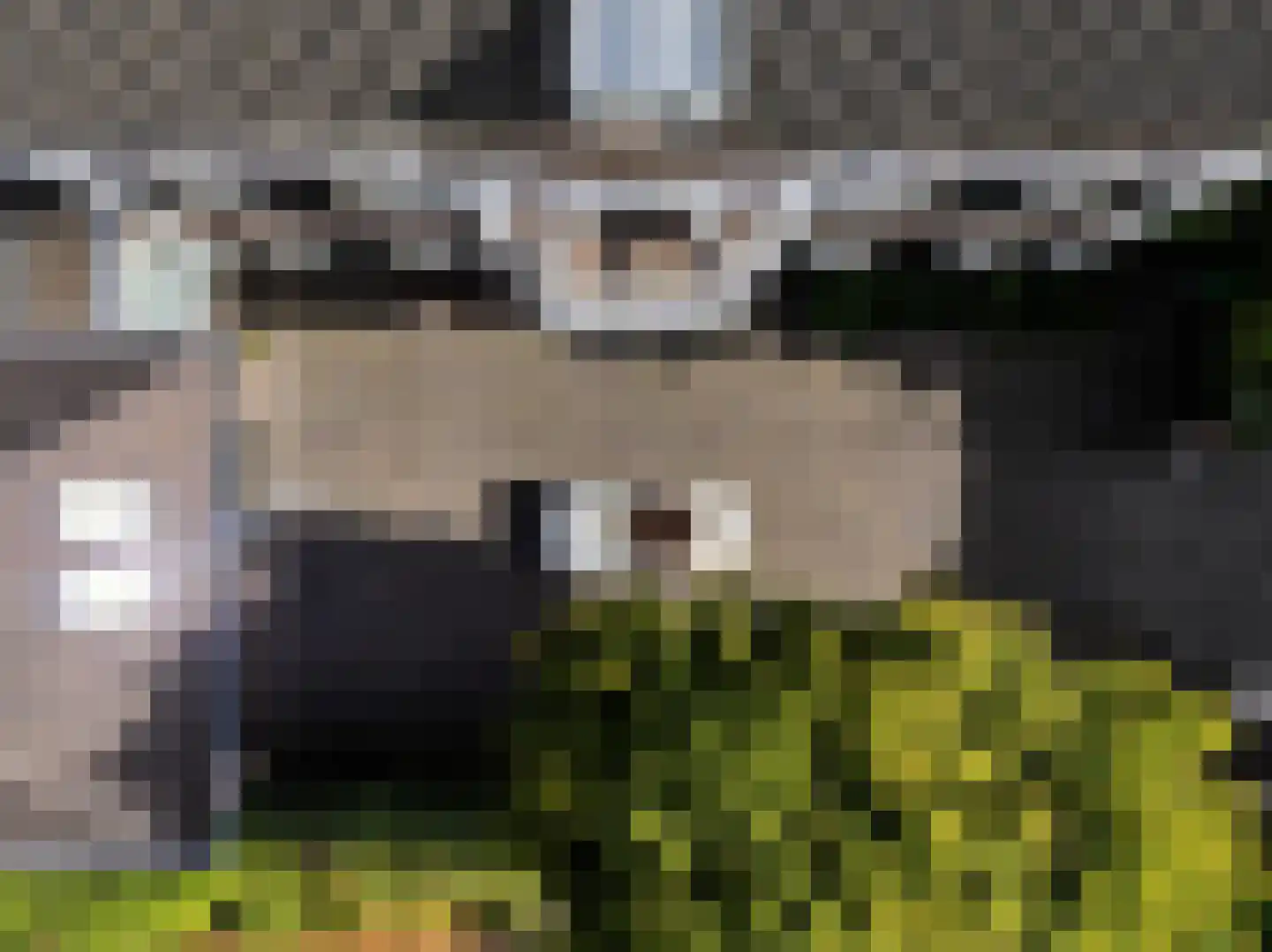 Graaf Gerolfpad 4 Den Haag thumbnail 5