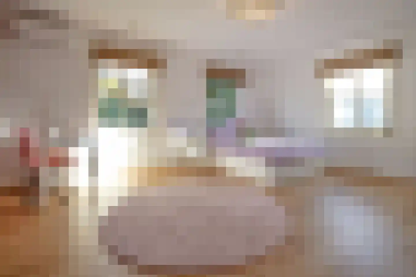Graaf Gerolfpad 4 Den Haag thumbnail 53