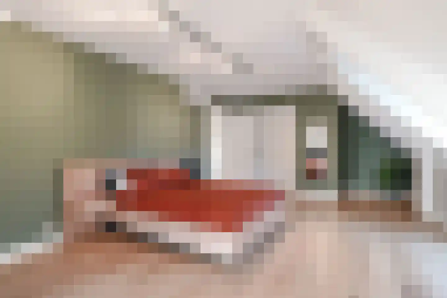 Graaf Gerolfpad 4 Den Haag thumbnail 58