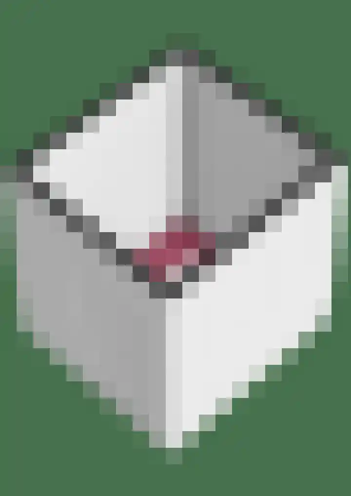 Graaf Gerolfpad 4 Den Haag thumbnail 60