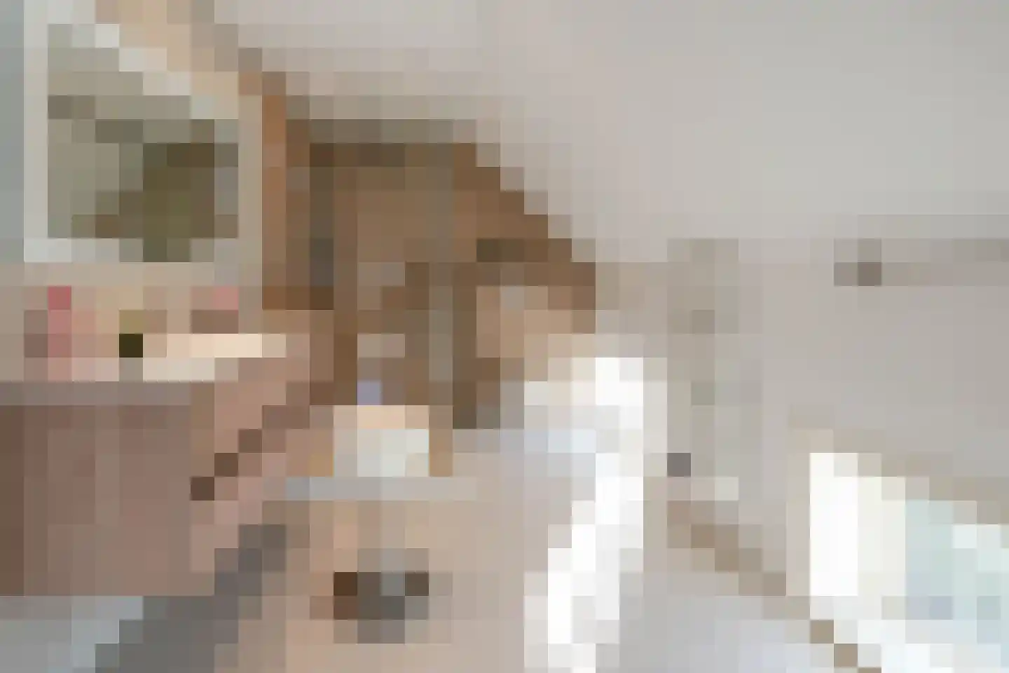 Graaf Gerolfpad 4 Den Haag thumbnail 65