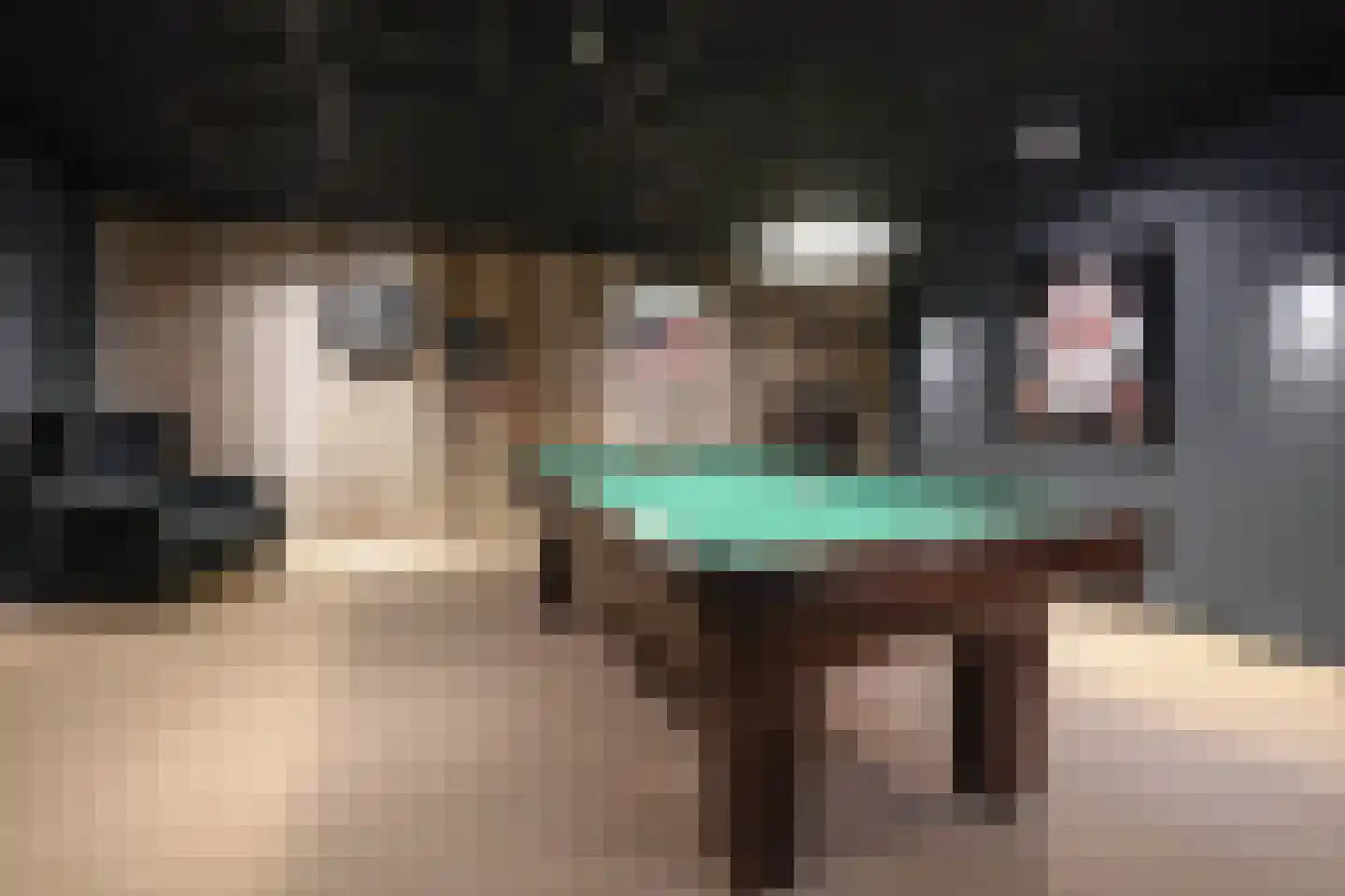 Graaf Gerolfpad 4 Den Haag thumbnail 71