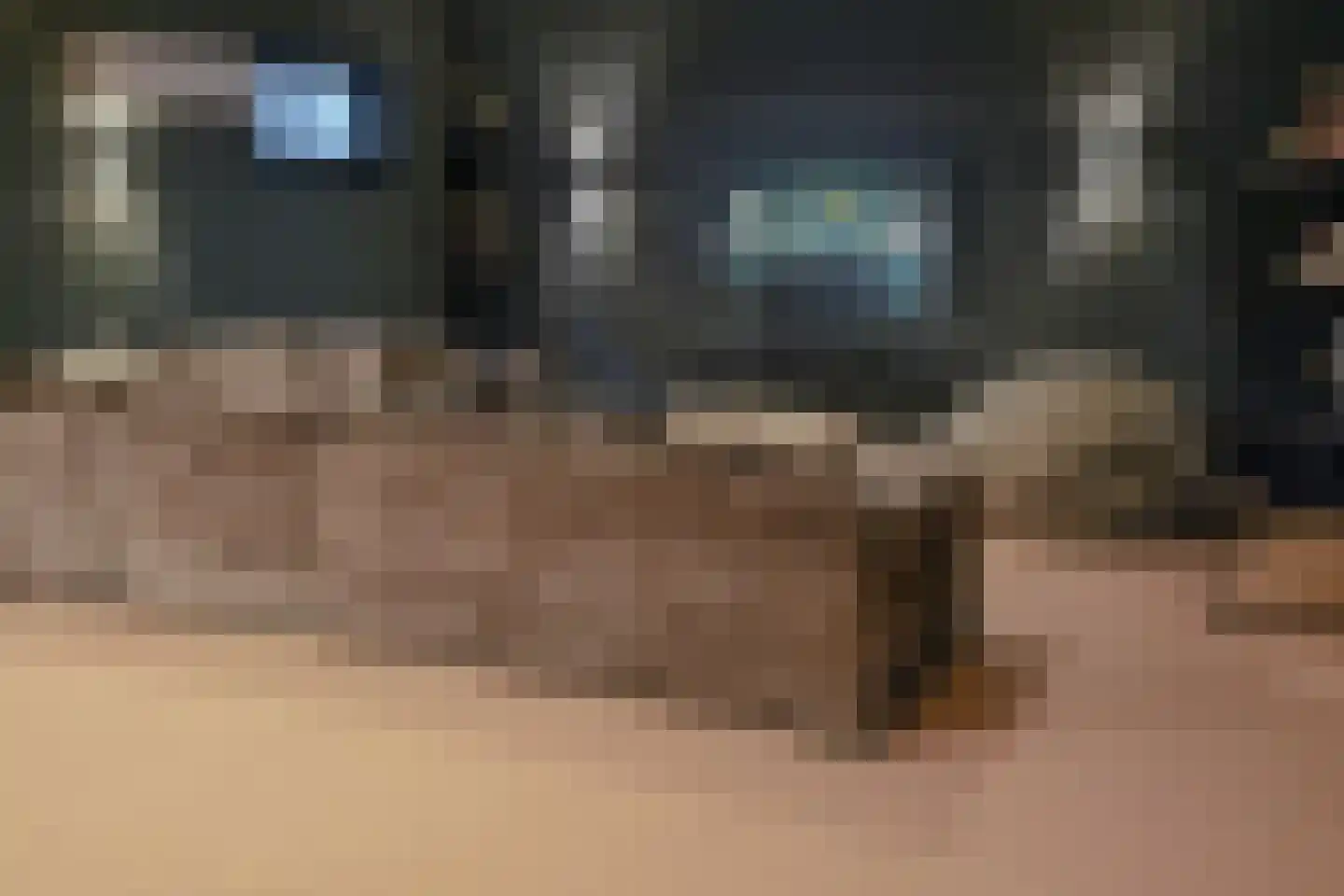 Graaf Gerolfpad 4 Den Haag thumbnail 73