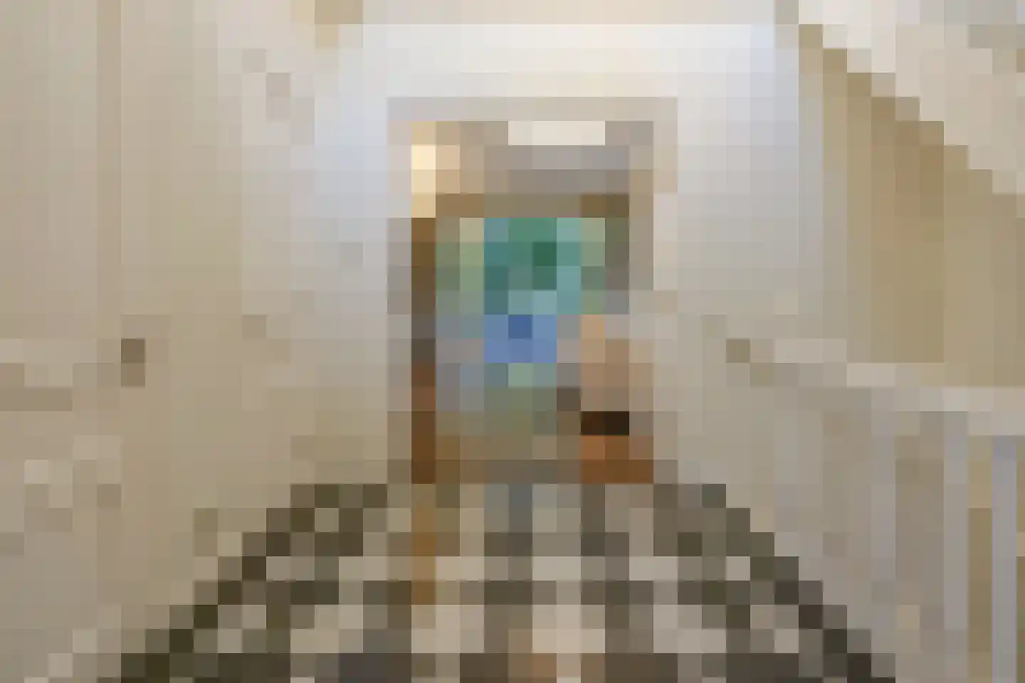 Graaf Gerolfpad 4 Den Haag thumbnail 8