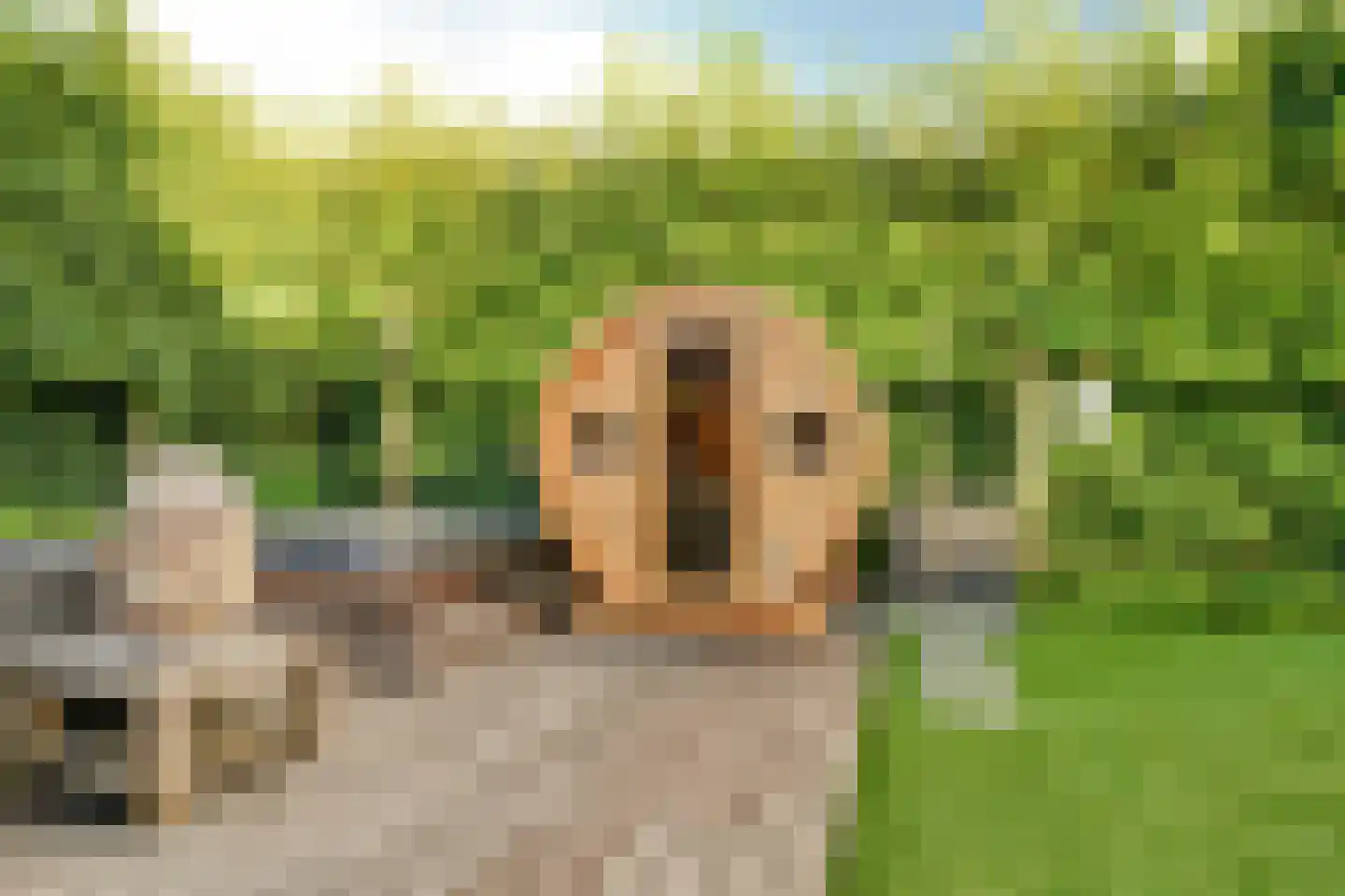 Graaf Gerolfpad 4 Den Haag thumbnail 82