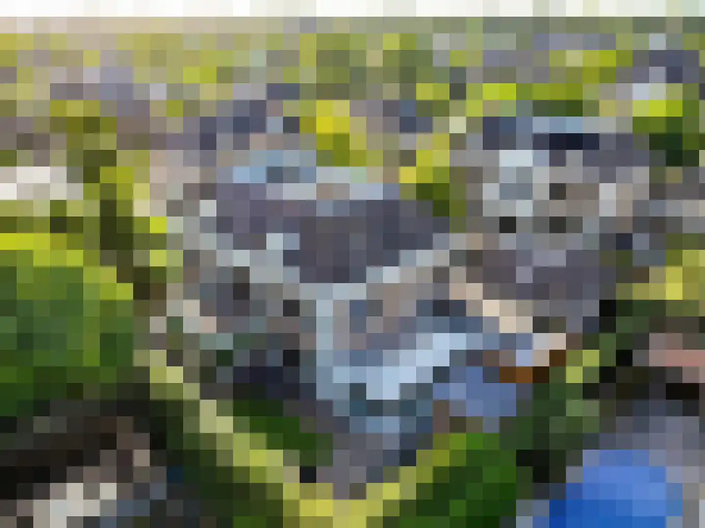 Graaf Gerolfpad 4 Den Haag thumbnail 94