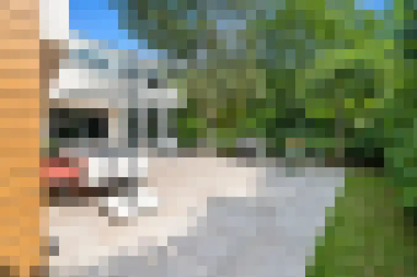 Graaf Gerolfpad 5 Den Haag thumbnail 18