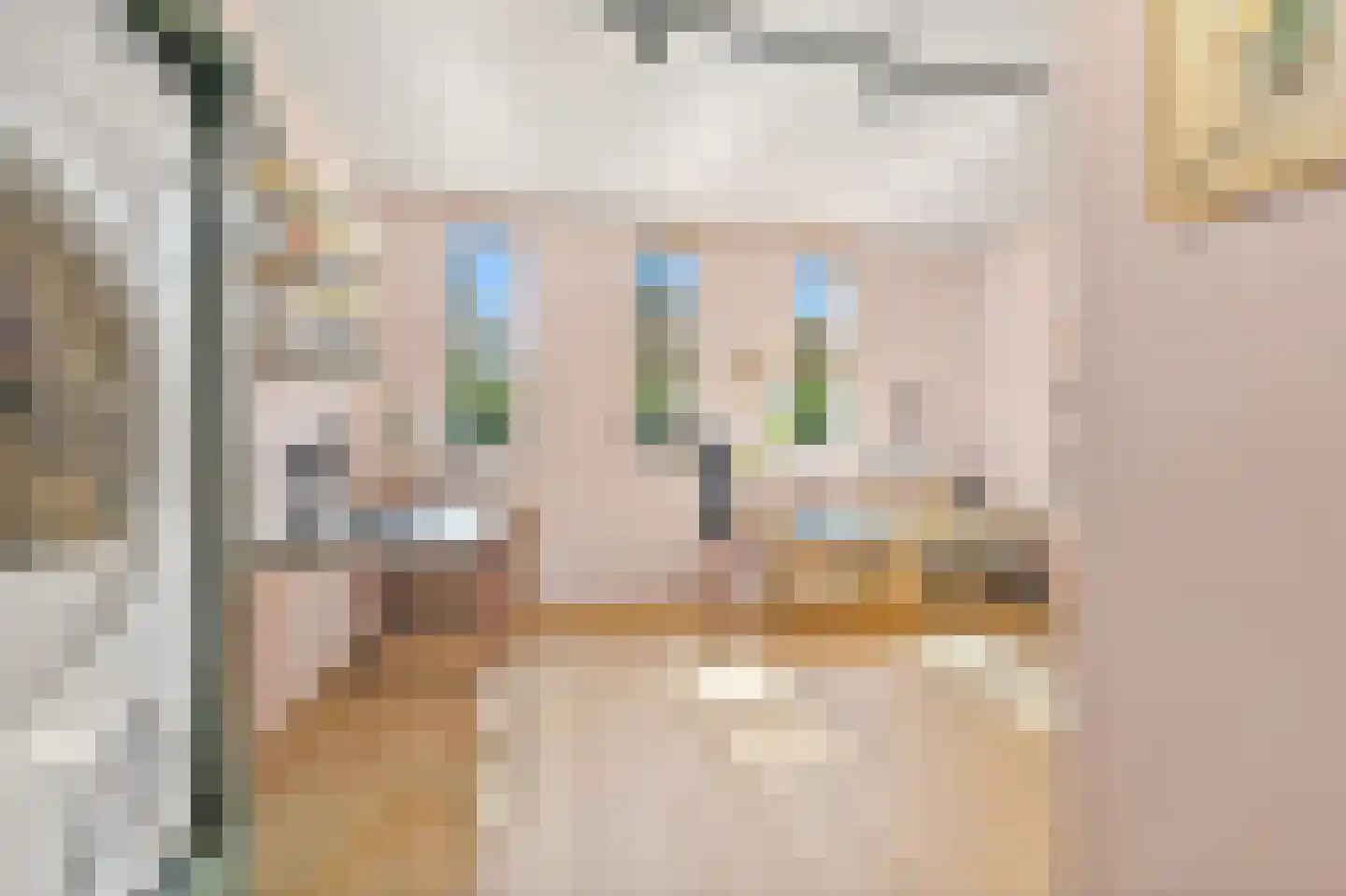 Graaf Gerolfpad 5 Den Haag thumbnail 33