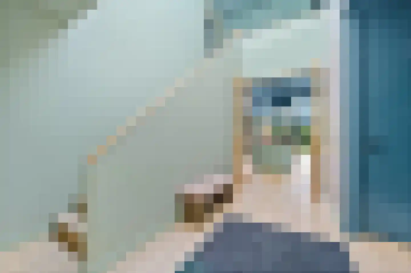 Graaf Gerolfpad 5 Den Haag thumbnail 37