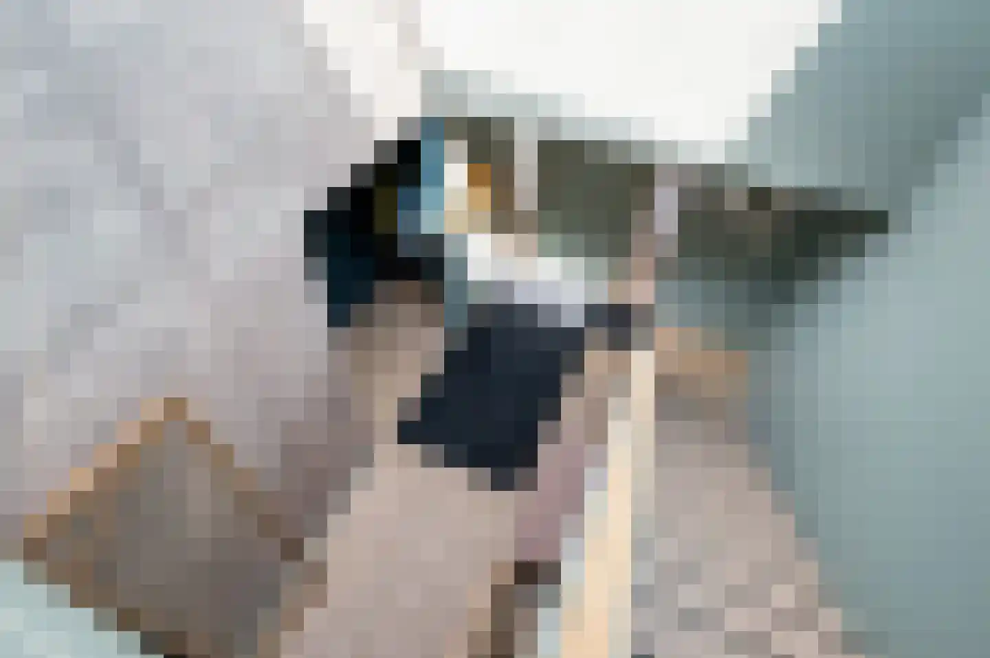 Graaf Gerolfpad 5 Den Haag thumbnail 40