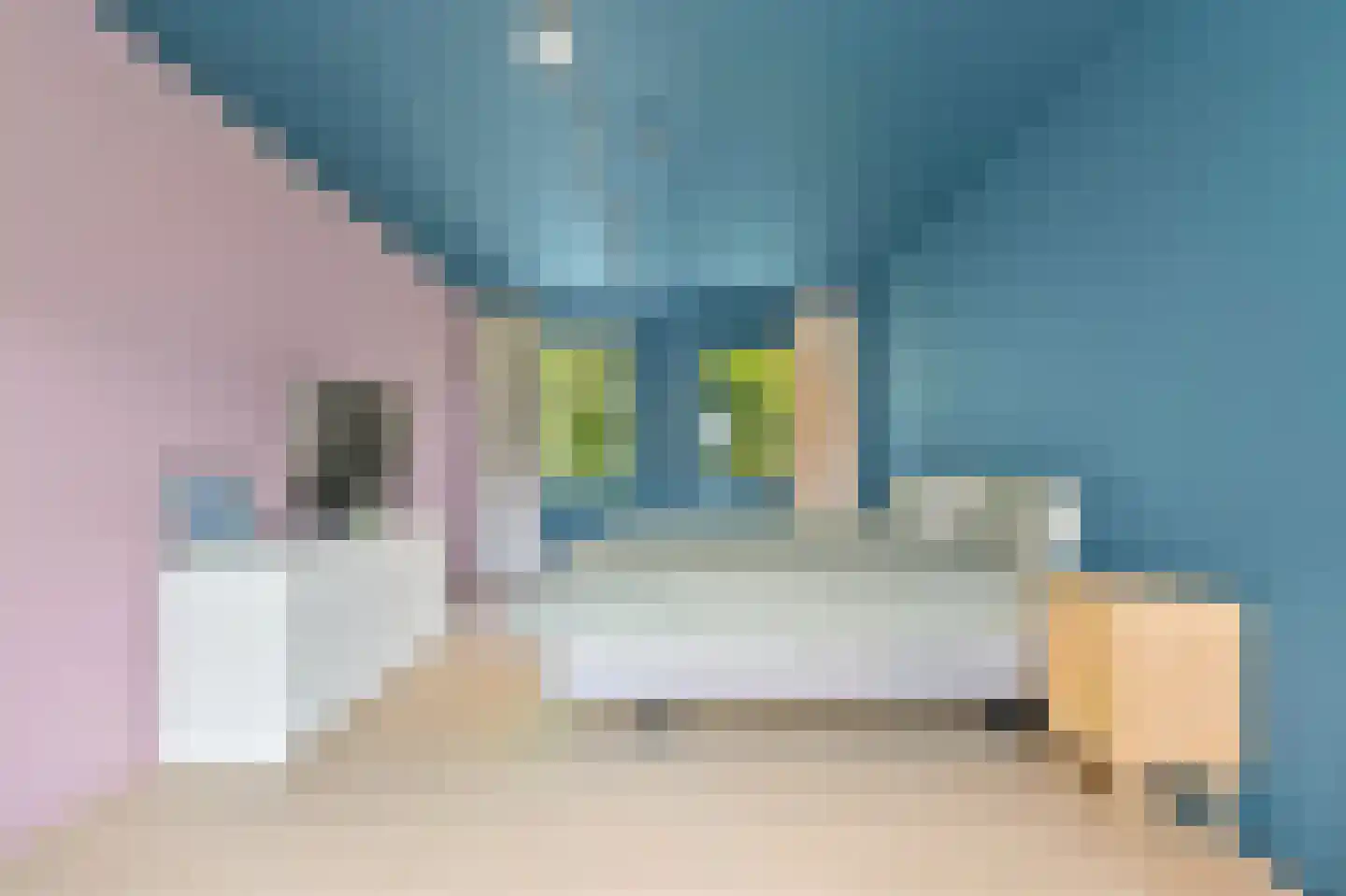 Graaf Gerolfpad 5 Den Haag thumbnail 41
