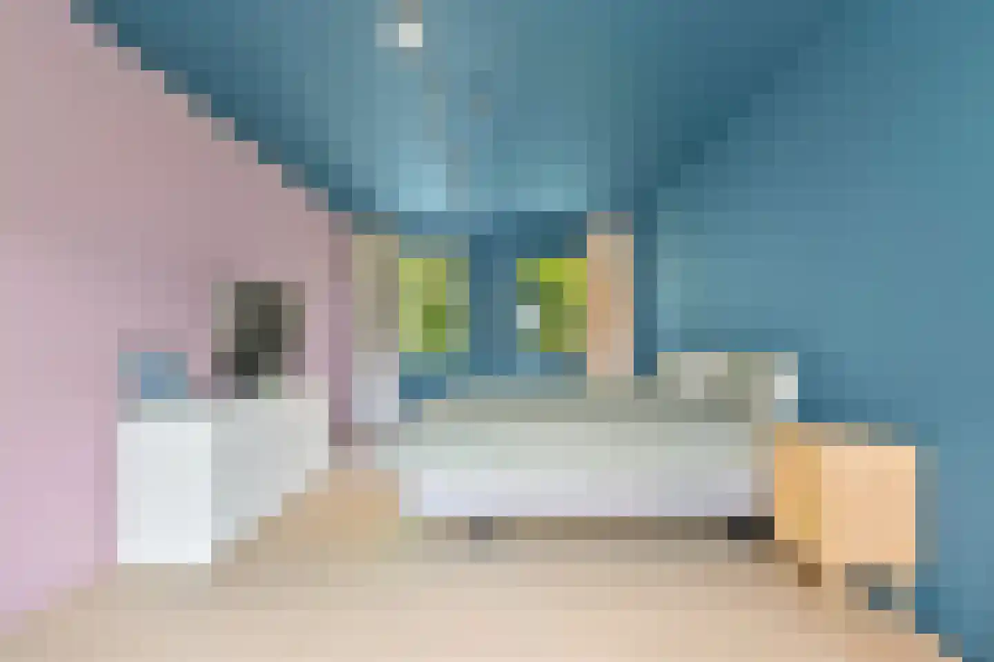 Graaf Gerolfpad 5 Den Haag thumbnail 43