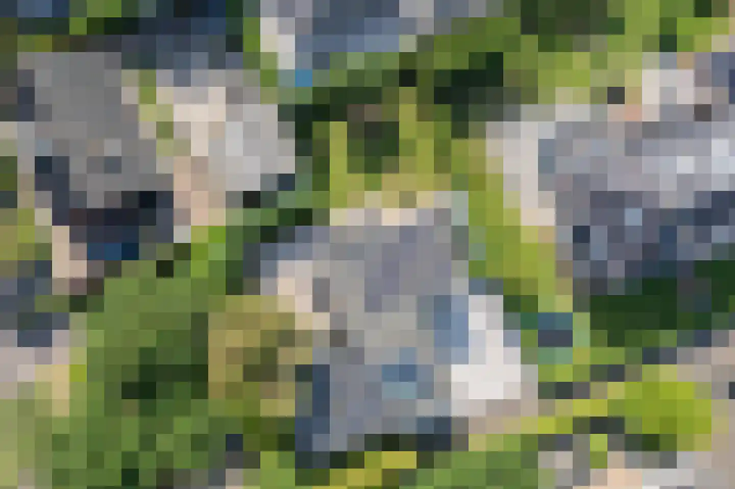 Graaf Gerolfpad 5 Den Haag thumbnail 5