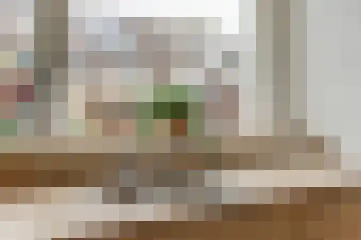 Graaf Gustaaflaan 18 Nieuwegein thumbnail 10