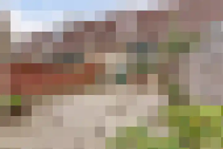 Graaf Gustaaflaan 18 Nieuwegein thumbnail 16