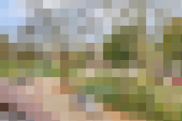 Graaf Gustaaflaan 18 Nieuwegein thumbnail 33