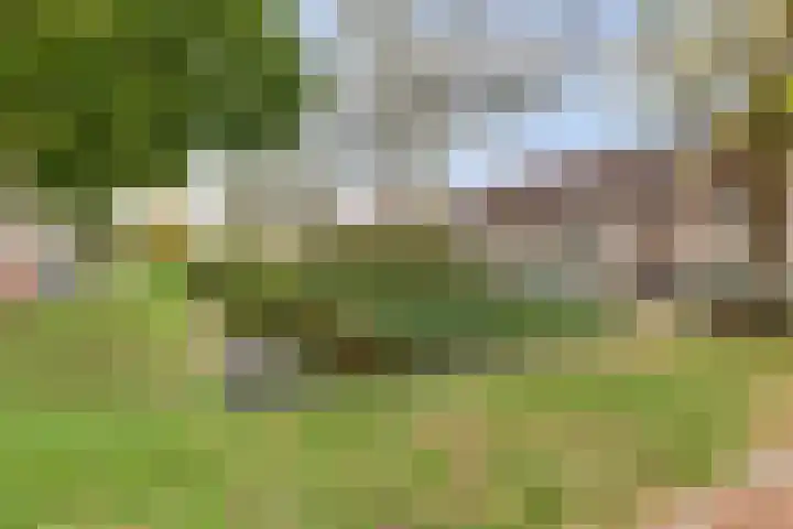 Graaf Gustaaflaan 18 Nieuwegein thumbnail 36