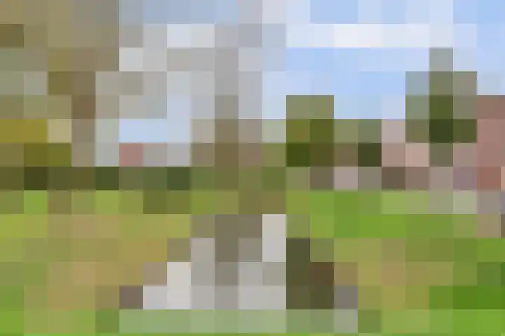 Graaf Gustaaflaan 18 Nieuwegein thumbnail 37
