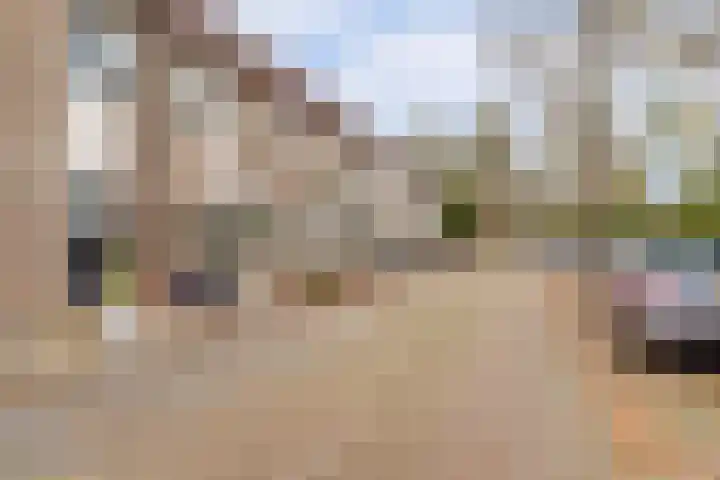 Graaf Gustaaflaan 18 Nieuwegein thumbnail 39