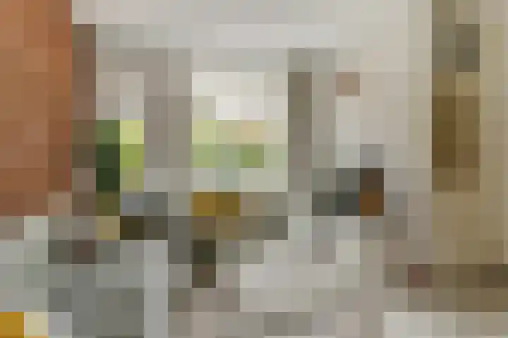 Graaf Gustaaflaan 18 Nieuwegein thumbnail 4