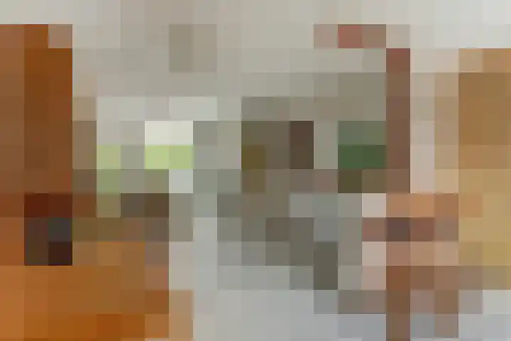 Graaf Gustaaflaan 18 Nieuwegein thumbnail 7
