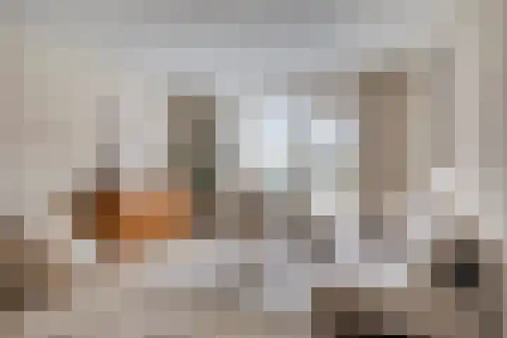 Graaf Hendrik III laan 107 B Breda thumbnail 15