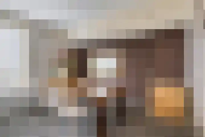Graaf Hendrik III laan 107 B Breda thumbnail 18