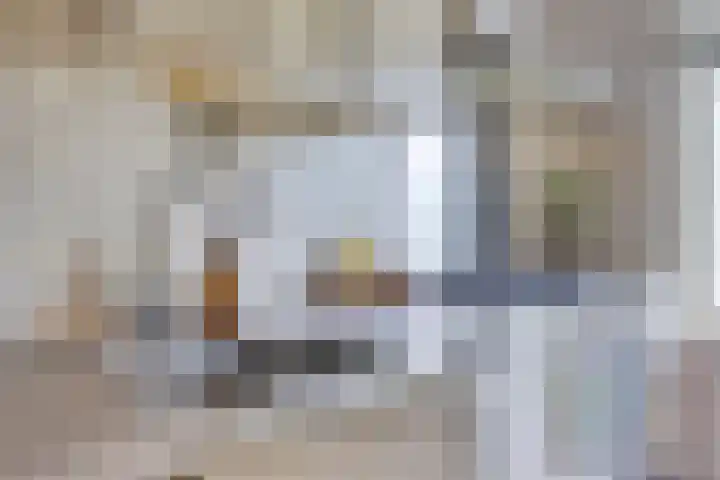 Graaf Hendrik III laan 107 B Breda thumbnail 20