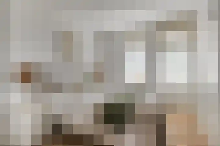 Graaf Hendrik III laan 107 B Breda thumbnail 22