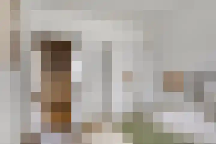 Graaf Hendrik III laan 107 B Breda thumbnail 23
