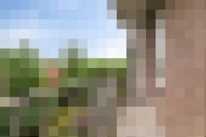 Graaf Hendrik III laan 107 B Breda thumbnail 28