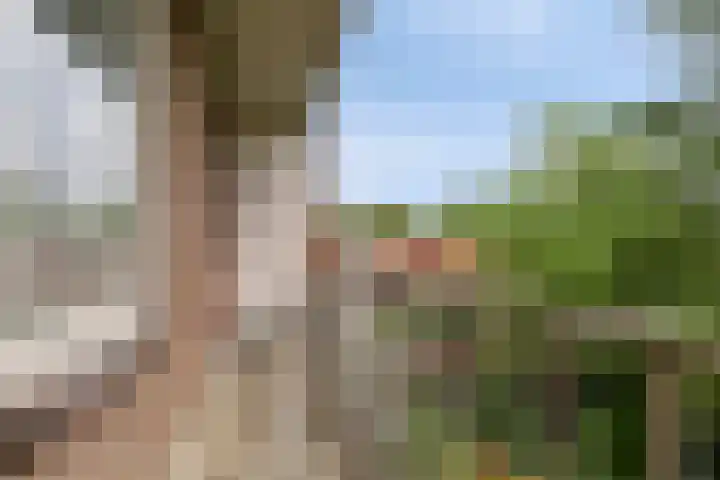 Graaf Hendrik III laan 107 B Breda thumbnail 29