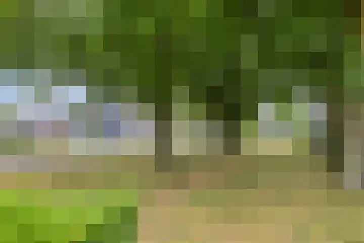 Graaf Hendrik III laan 107 B Breda thumbnail 34