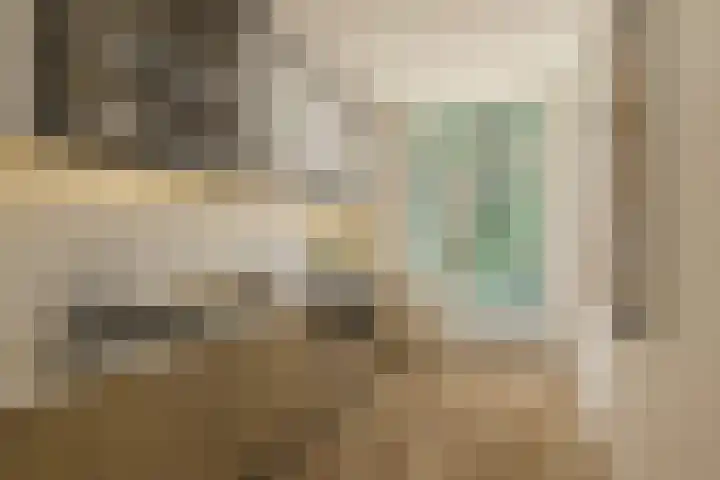 Graaf Hendrik III laan 107 B Breda thumbnail 4