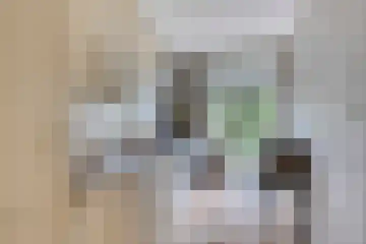 Graaf Hendrik III laan 107 B Breda thumbnail 5