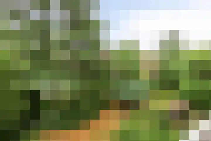 Graaf Hendrik III laan 107 B Breda thumbnail 6