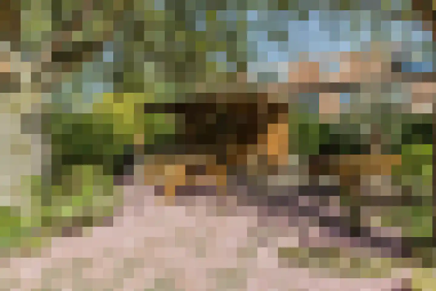 Graaf Hendrik III laan 109 A Breda thumbnail 37