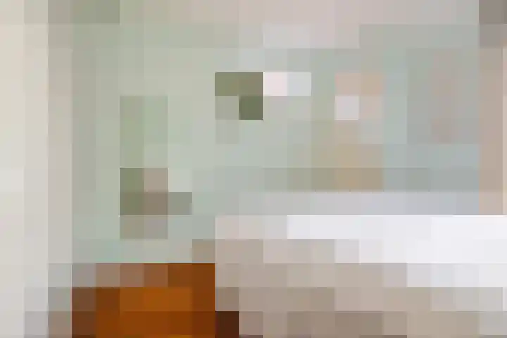 Graaf Hendrik III laan 125 Breda thumbnail 13