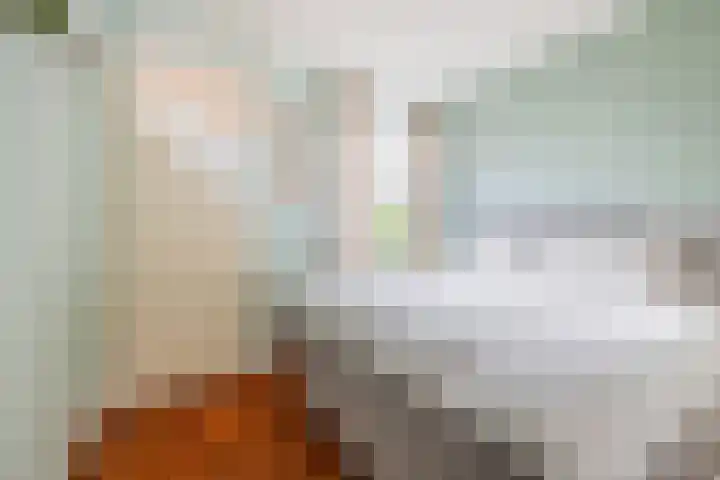 Graaf Hendrik III laan 125 Breda thumbnail 15
