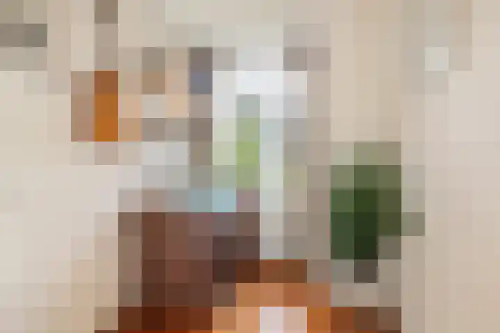 Graaf Hendrik III laan 125 Breda thumbnail 16