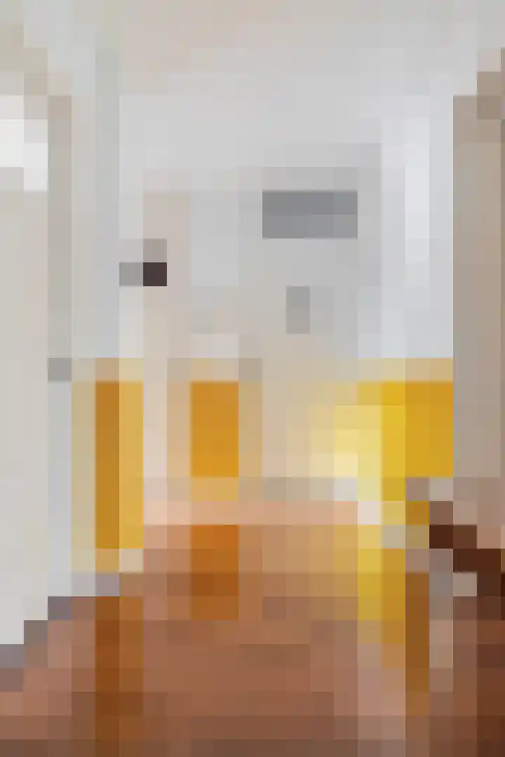 Graaf Hendrik III laan 125 Breda thumbnail 21