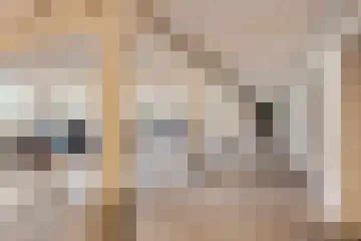 Graaf Hendrik III laan 125 Breda thumbnail 22
