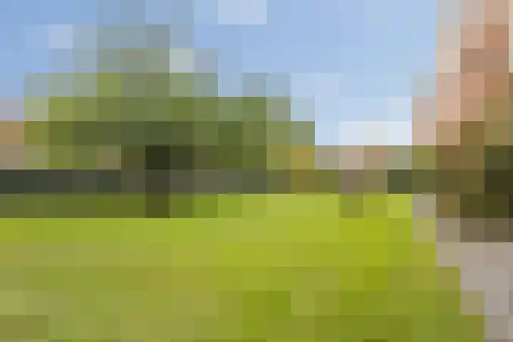 Graaf Hendrik III laan 125 Breda thumbnail 23