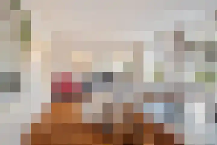 Graaf Hendrik III laan 125 Breda thumbnail 9