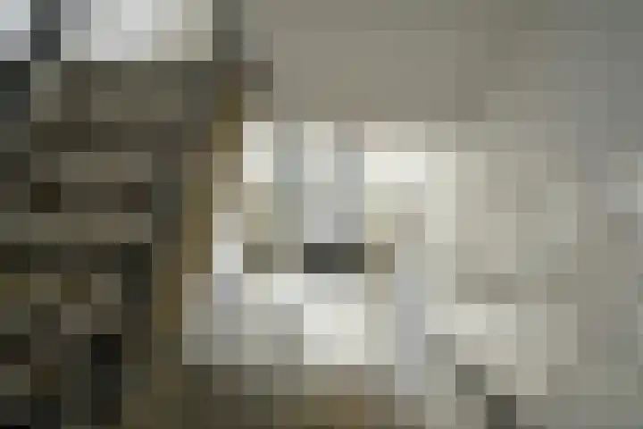 Graaf Hendrik III laan 127 B Breda thumbnail 11
