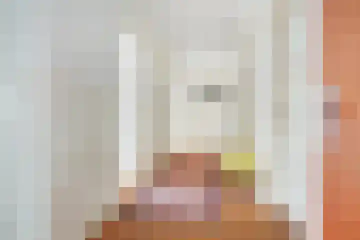 Graaf Hendrik III laan 127 B Breda thumbnail 12