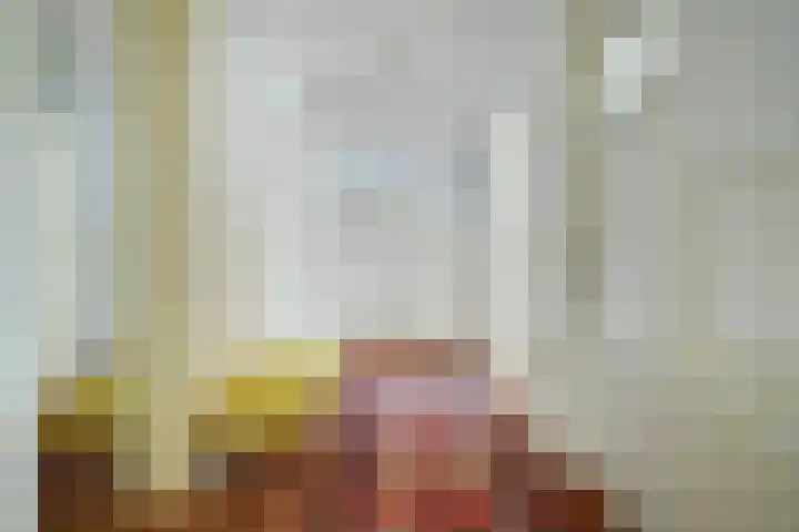 Graaf Hendrik III laan 127 B Breda thumbnail 13